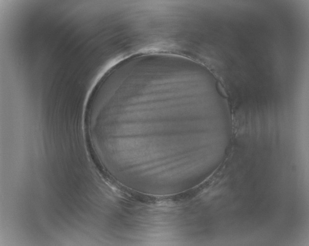 X0000063510196200602101934