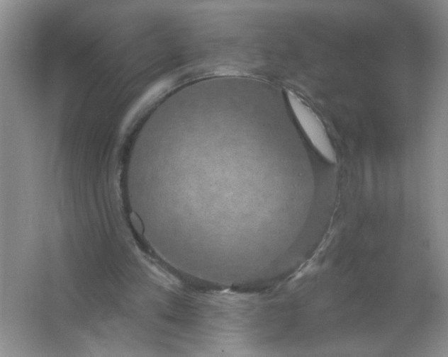 X0000063510197200602101934