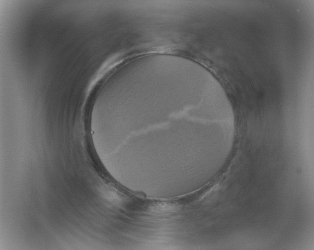 X0000063510198200602101934