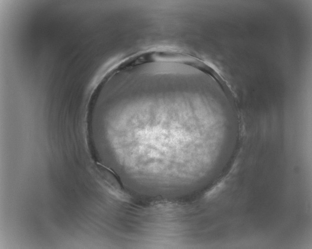 X0000063510199200602101934