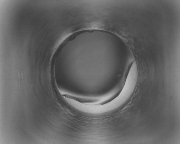 X0000063510200200602101934