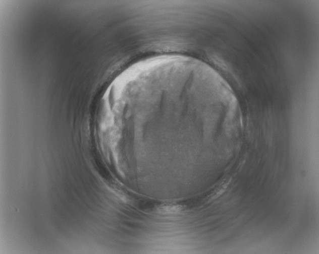 X0000063510202200602101934