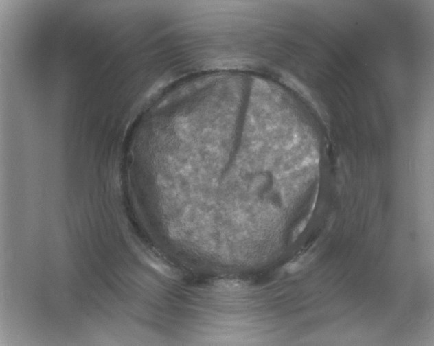 X0000063510203200602101934