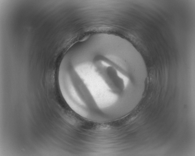 X0000063510206200602101934