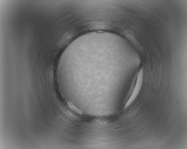 X0000063510207200602101934