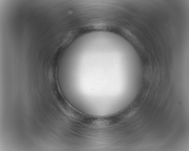 X0000063510213200602101934