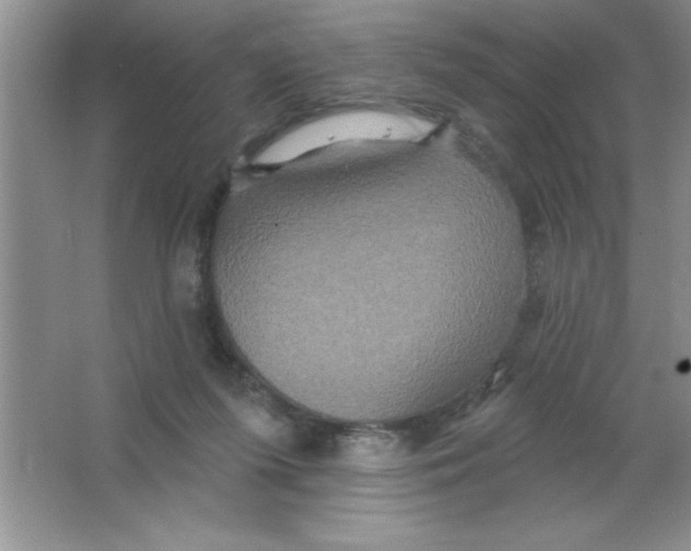 X0000063510215200602101934