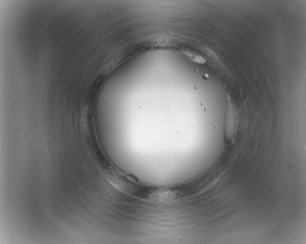 X0000063510217200602101934