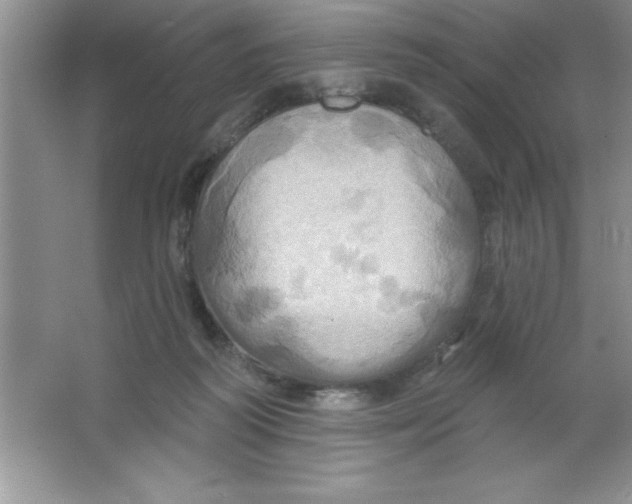 X0000063510218200602101934