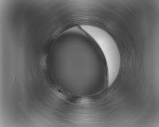 X0000063510219200602101934