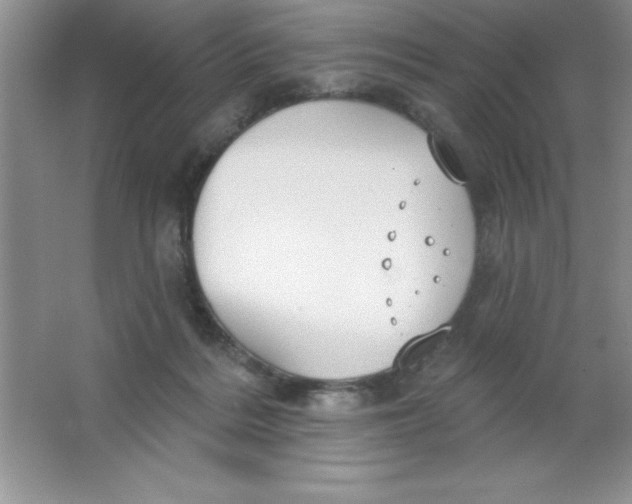 X0000063510220200602101934