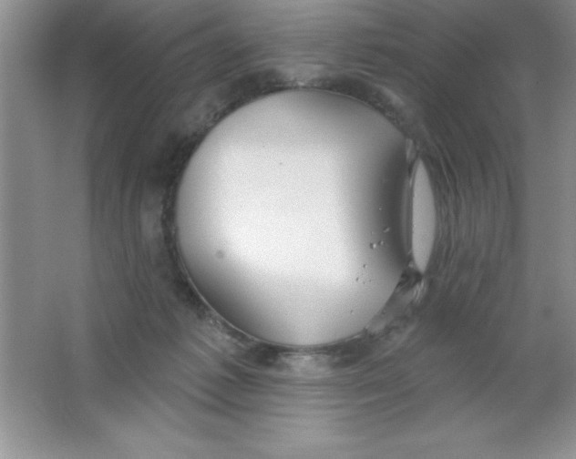 X0000063510221200602101934