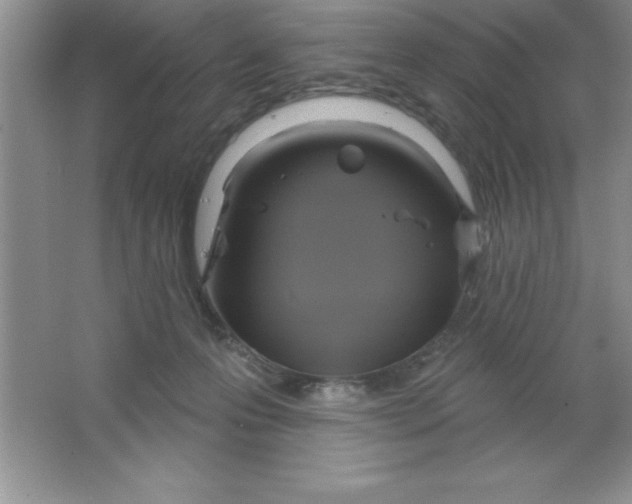 X0000063510223200602101934