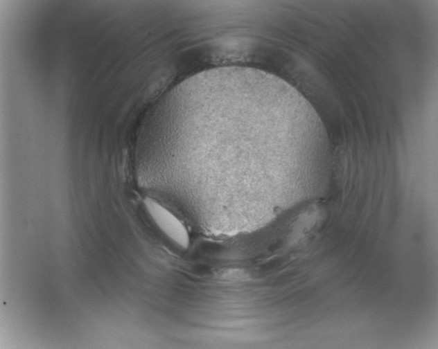 X0000063510224200602101934