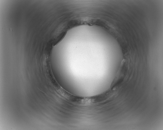 X0000063510225200602101934