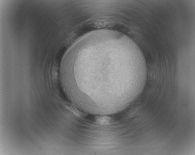 X0000063510226200602101934