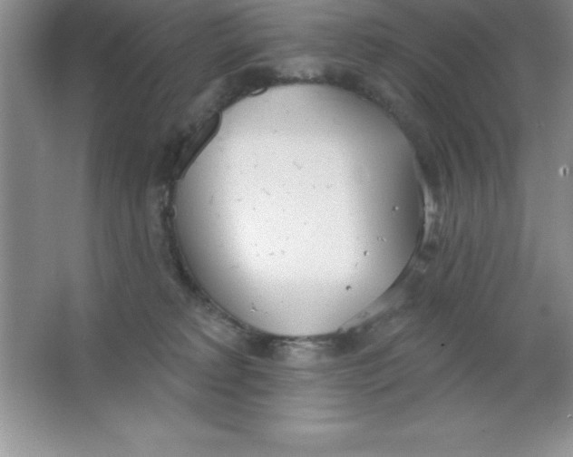 X0000063510229200602101934