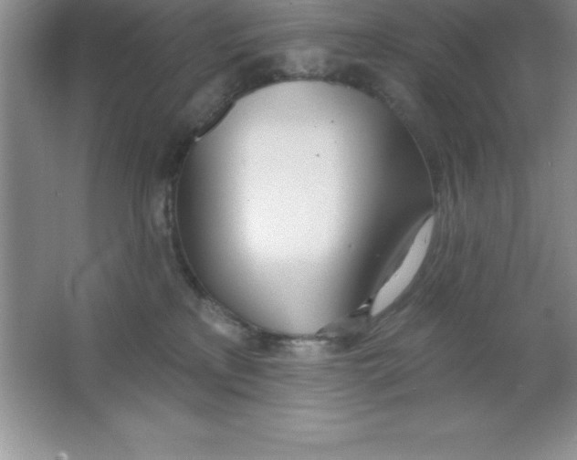 X0000063510233200602101934