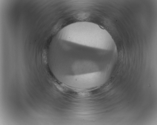 X0000063510234200602101934