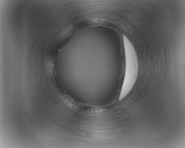 X0000063510235200602101933