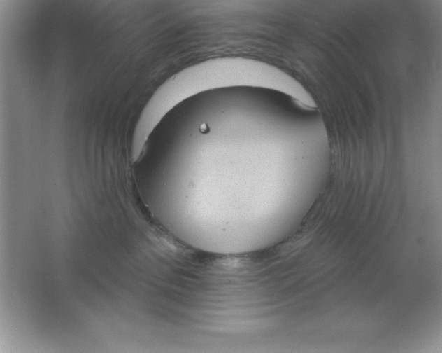 X0000063510237200602101933