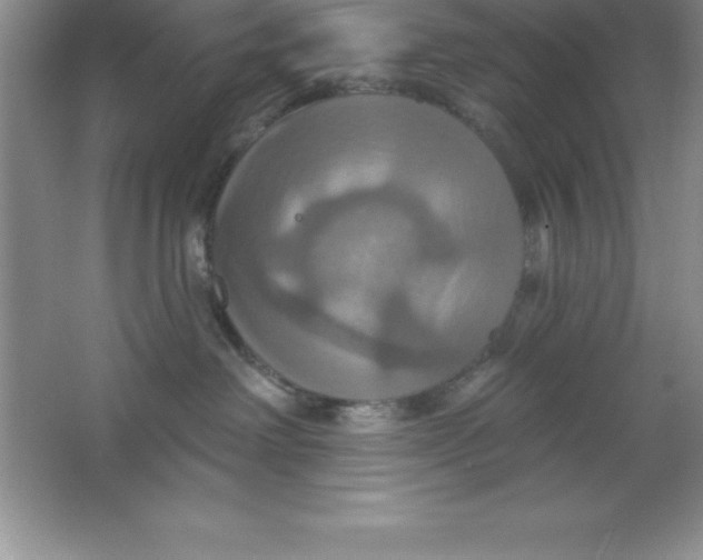 X0000063510238200602101933