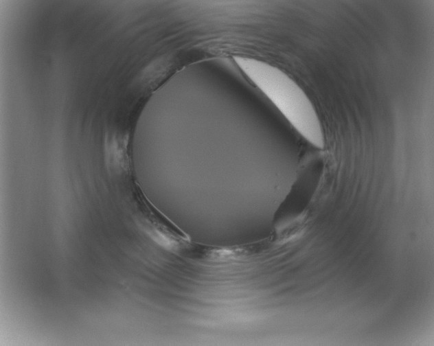 X0000063510239200602101933