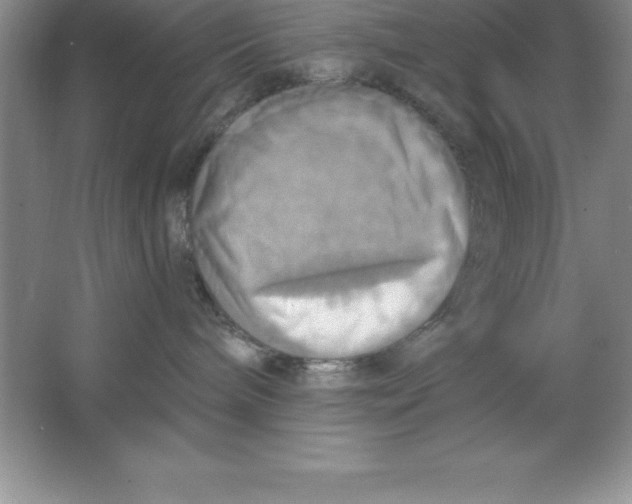 X0000063510240200602101933