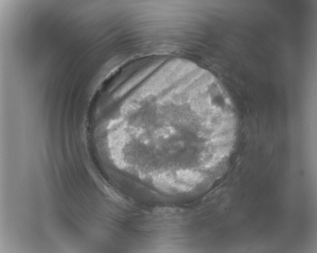 X0000063510242200602101933