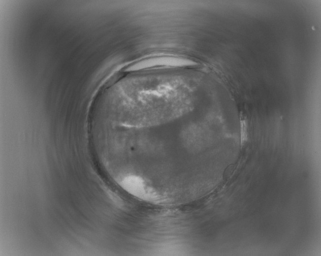 X0000063510243200602101933