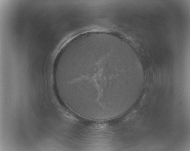 X0000063510247200602101933