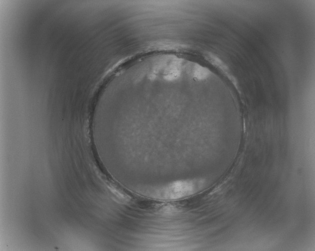 X0000063510249200602101933