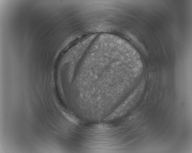 X0000063510250200602101933