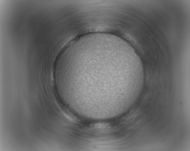 X0000063510251200602101933