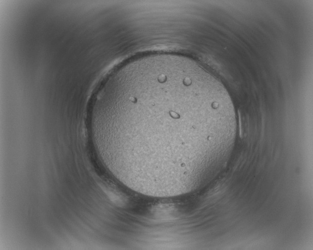 X0000063510252200602101933