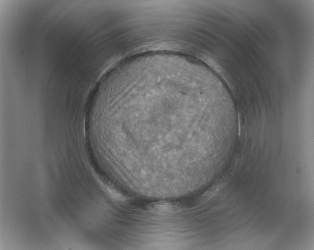 X0000063510253200602101933