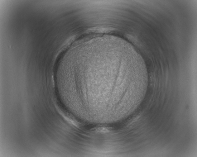 X0000063510254200602101933