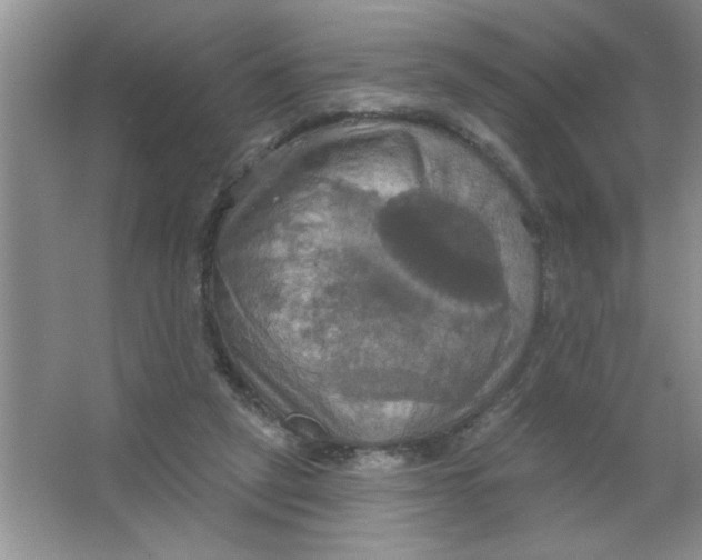 X0000063510257200602101933