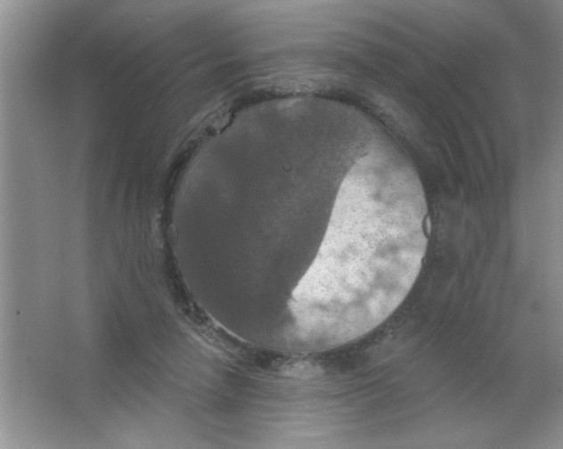 X0000063510258200602101933