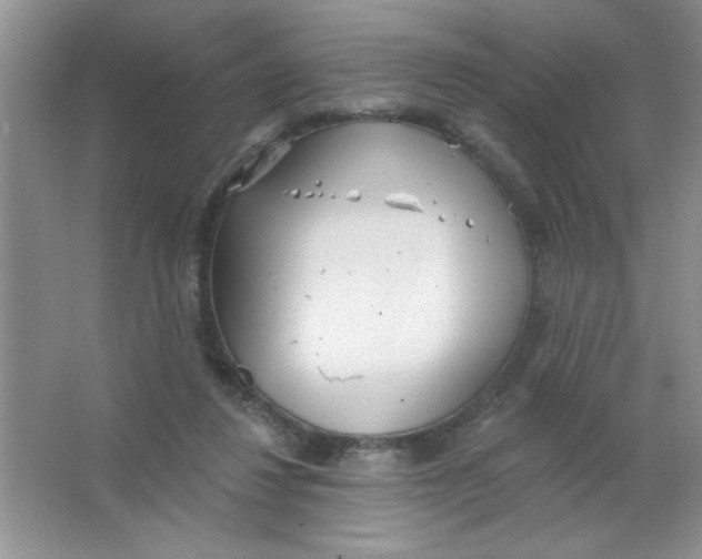 X0000063510260200602101933