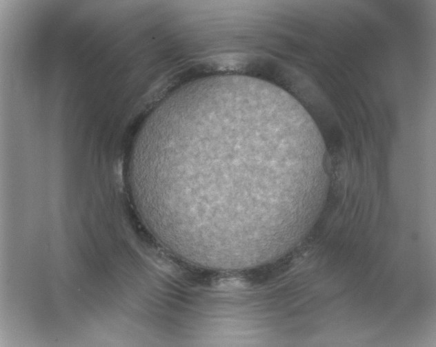 X0000063510262200602101933