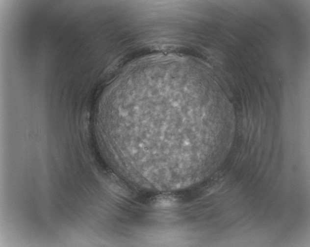 X0000063510263200602101933