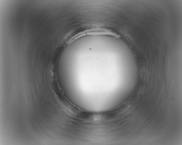 X0000063510264200602101933