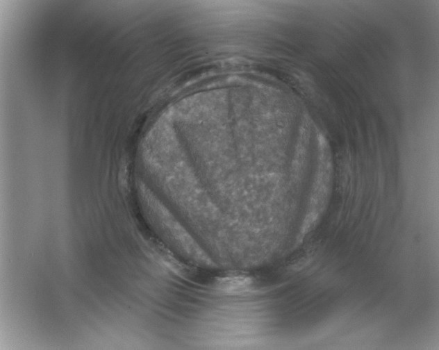 X0000063510266200602101933