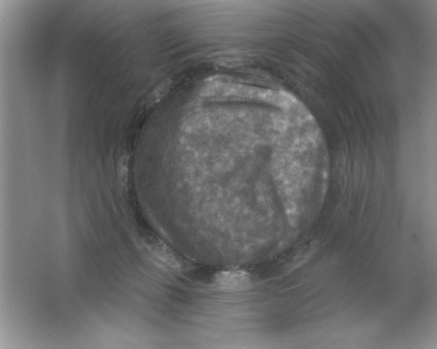 X0000063510271200602101933