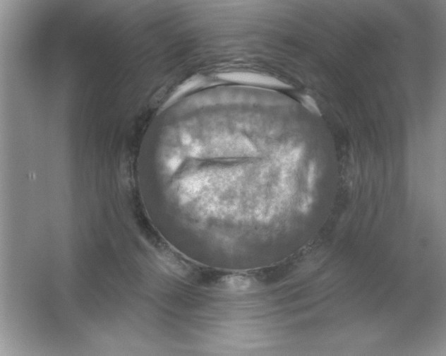 X0000063510272200602101933