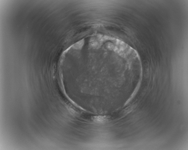 X0000063510273200602101933