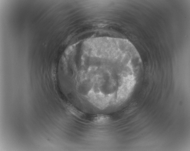 X0000063510274200602101933