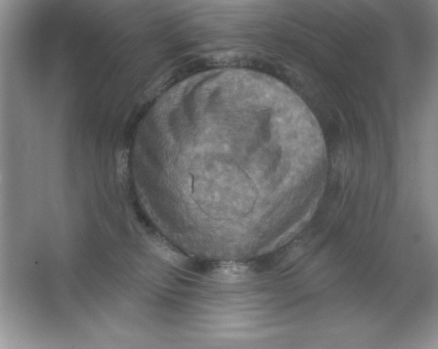 X0000063510278200602101933