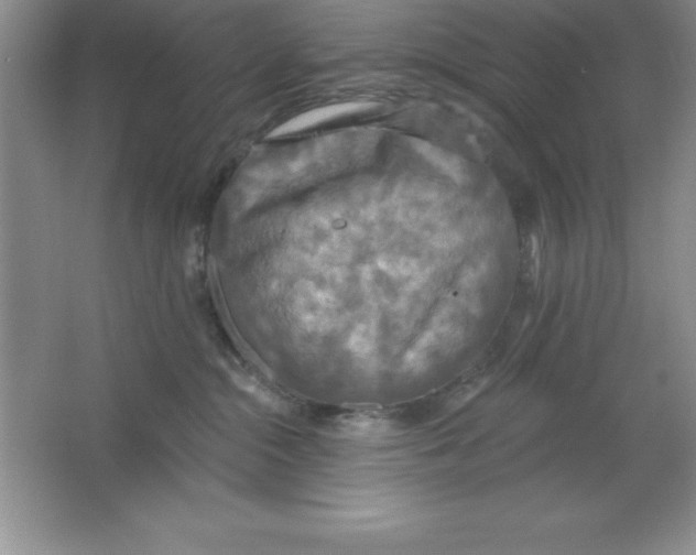 X0000063510284200602101933